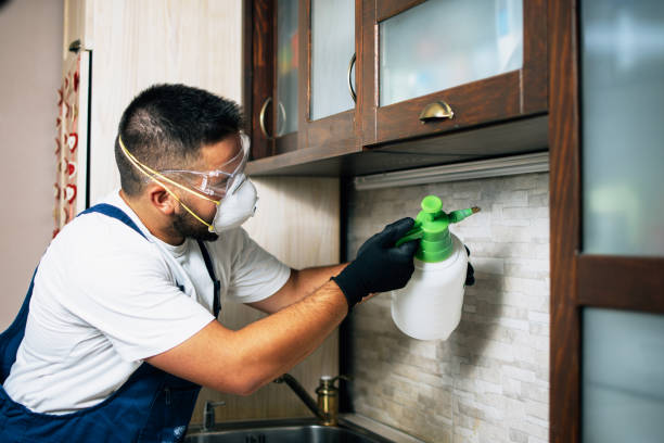 Best Exterminator Services  in Bridgeport, OH