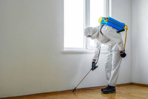 Best Mosquito Control Services  in Bridgeport, OH