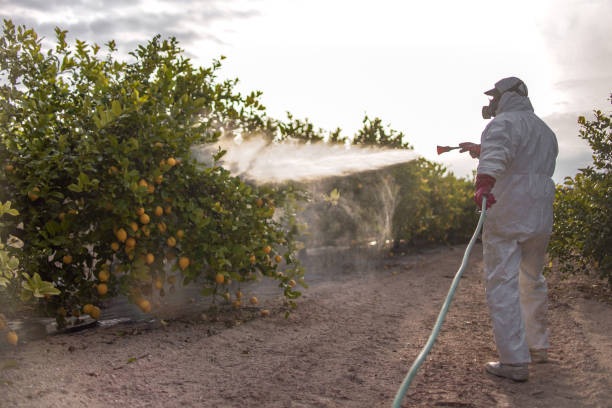 Best Pest Control Cost  in Bridgeport, OH