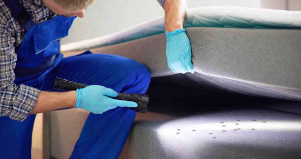 Best Exterminator Services  in Bridgeport, OH