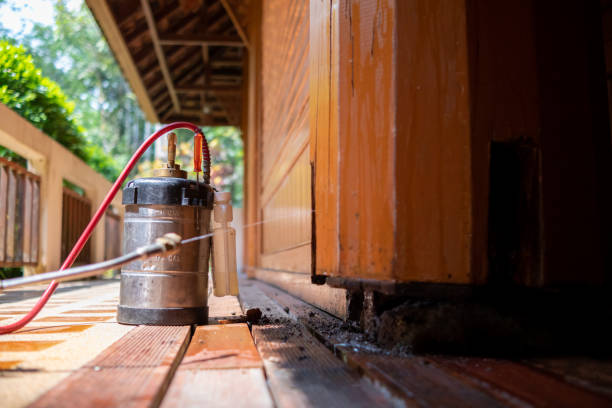 Best Best Pest Control Companies  in Bridgeport, OH