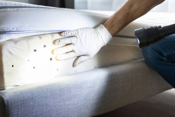 Best Best Pest Control Companies  in Bridgeport, OH